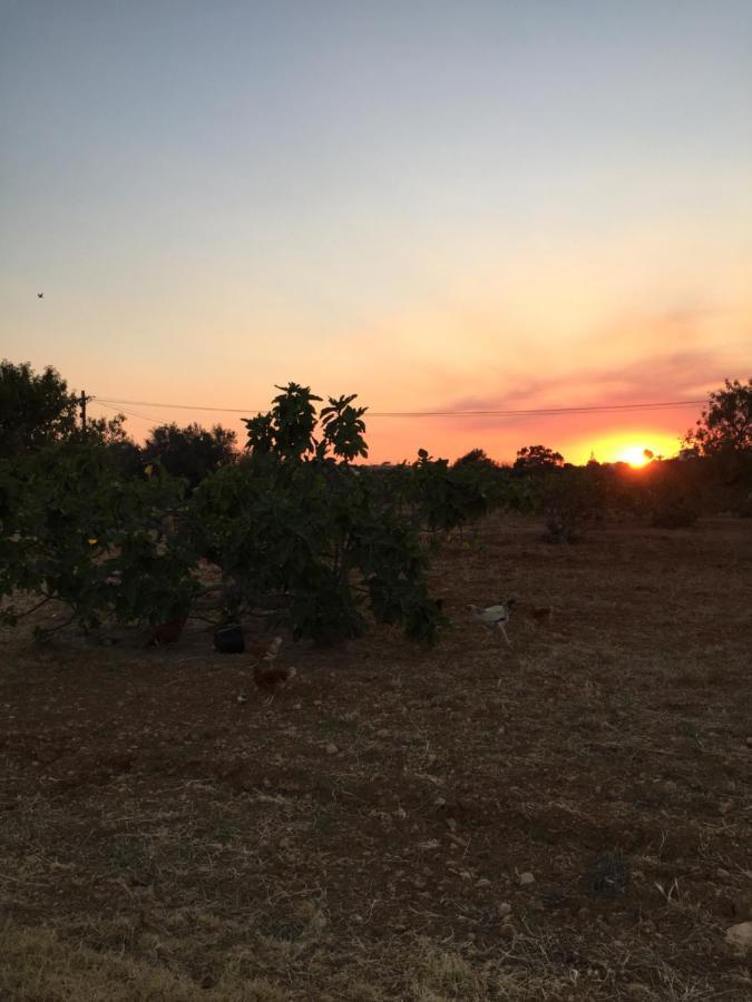 Solar Da Cotovia Villa Albufeira Dış mekan fotoğraf