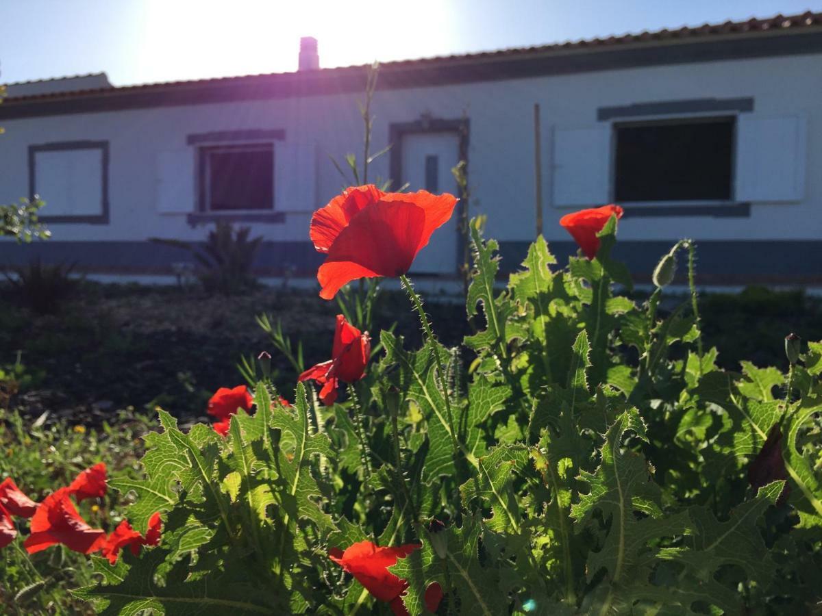 Solar Da Cotovia Villa Albufeira Dış mekan fotoğraf