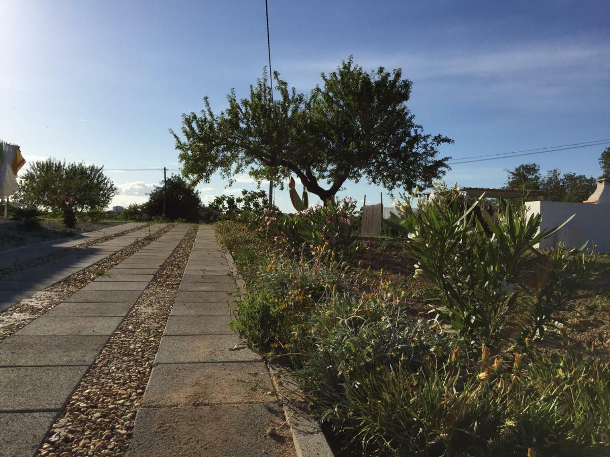 Solar Da Cotovia Villa Albufeira Dış mekan fotoğraf